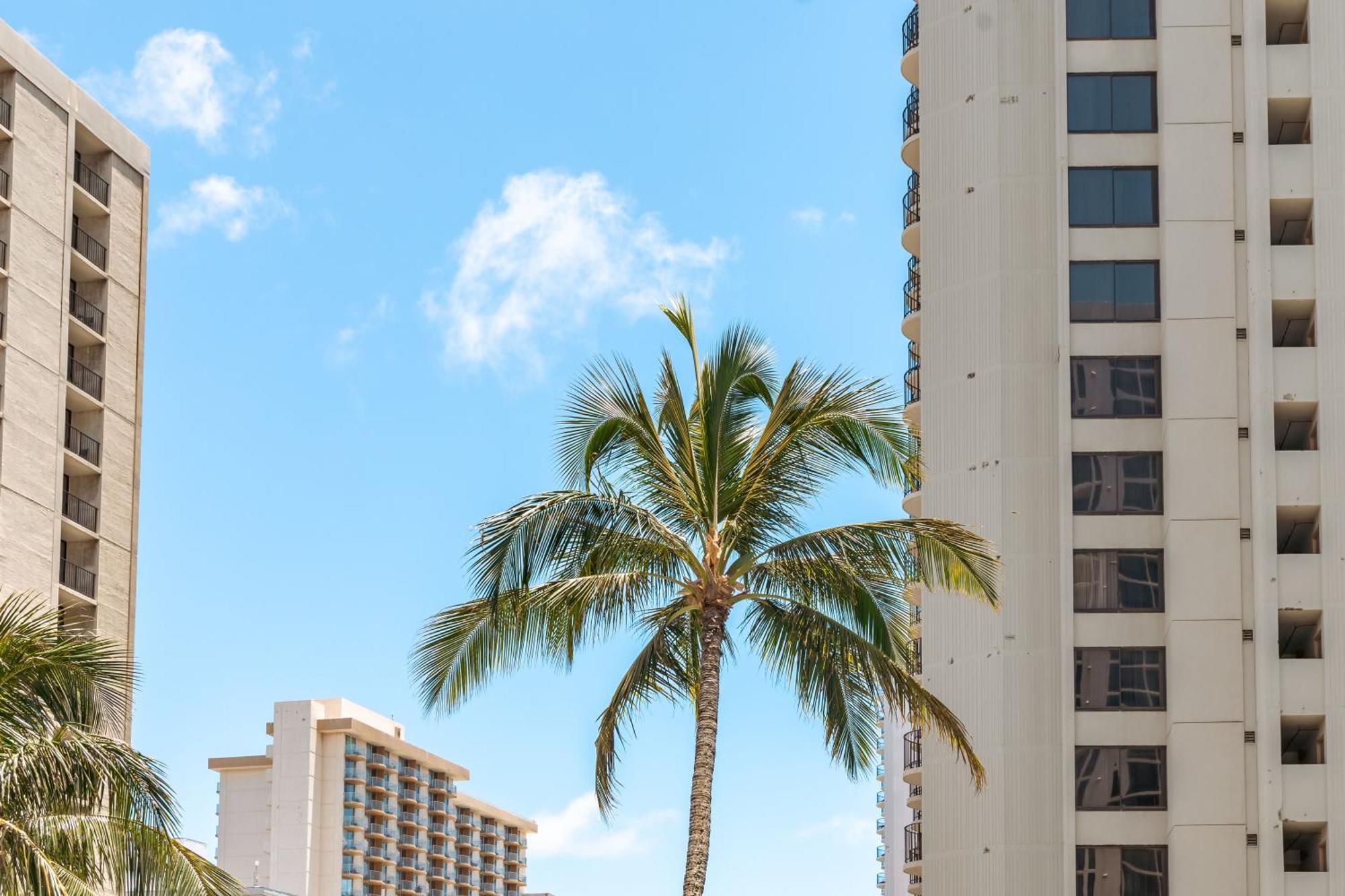 Aloha Vibes With Ocean Views, Near Beach & Parking! Honolulu Eksteriør billede