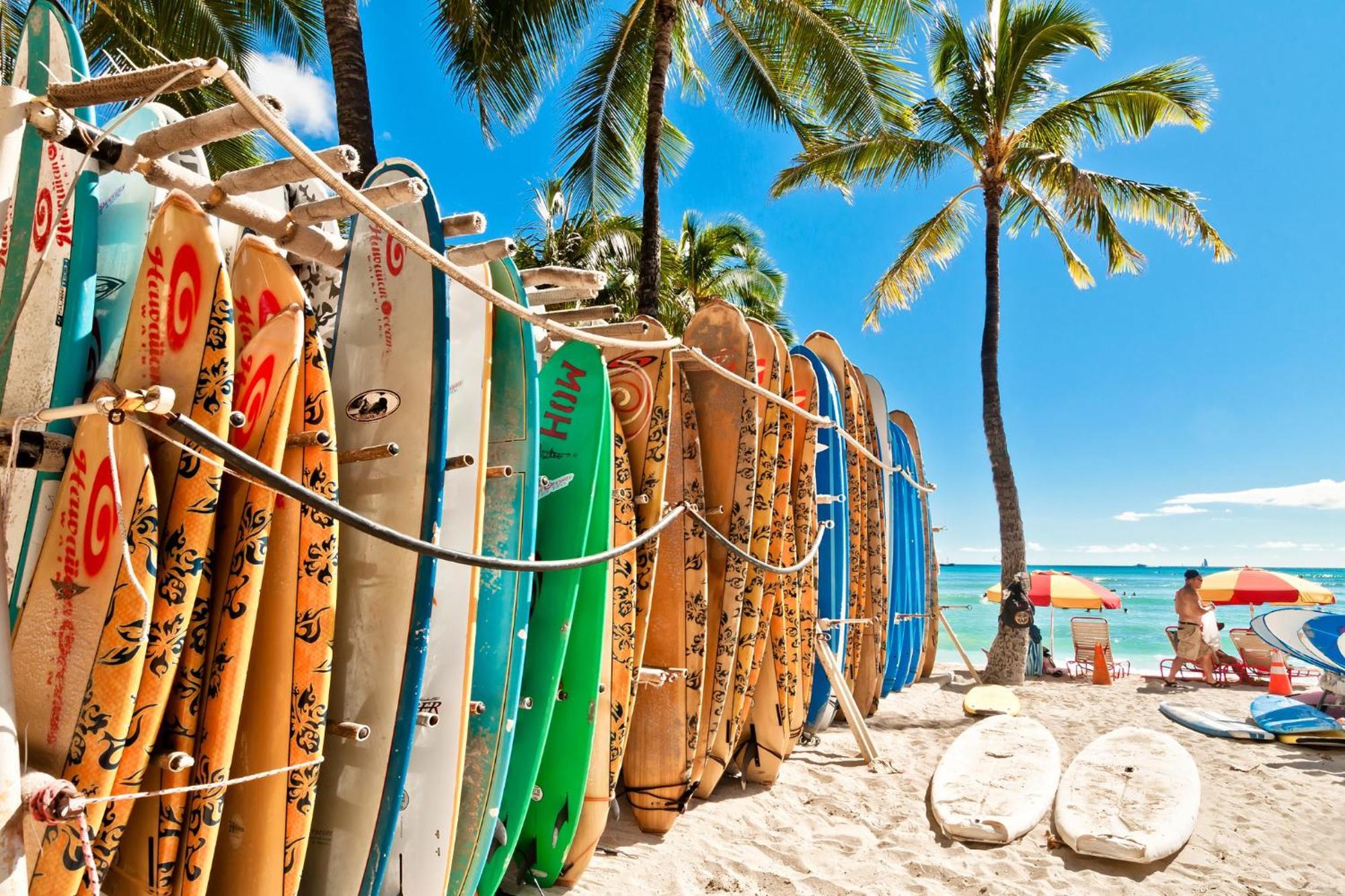 Aloha Vibes With Ocean Views, Near Beach & Parking! Honolulu Eksteriør billede