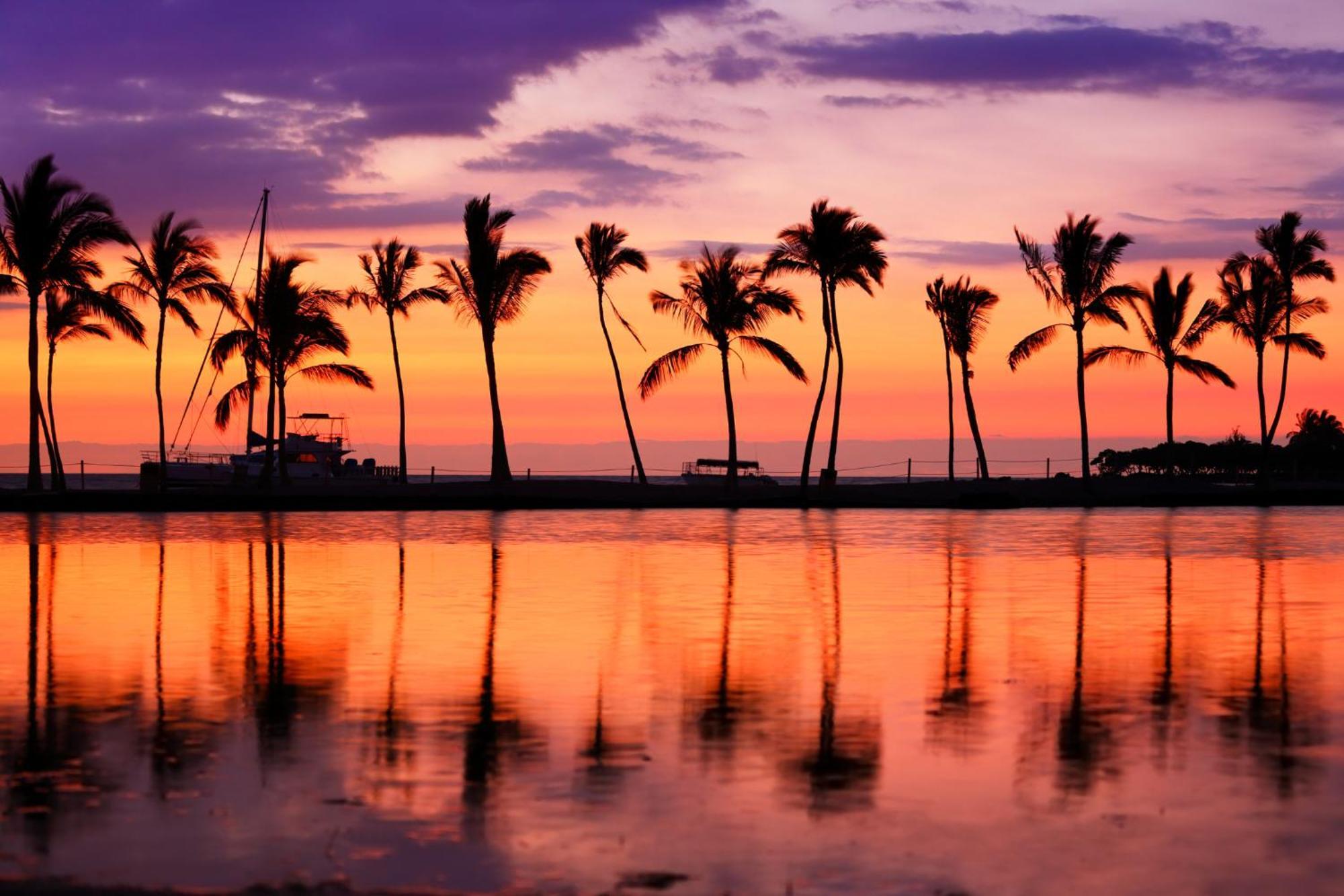Aloha Vibes With Ocean Views, Near Beach & Parking! Honolulu Eksteriør billede